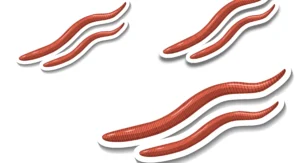 Ilustrasi cacing penyebab cacingan pada tubuh manusia, edukasi tentang pencegahan dan gejala cacingan.